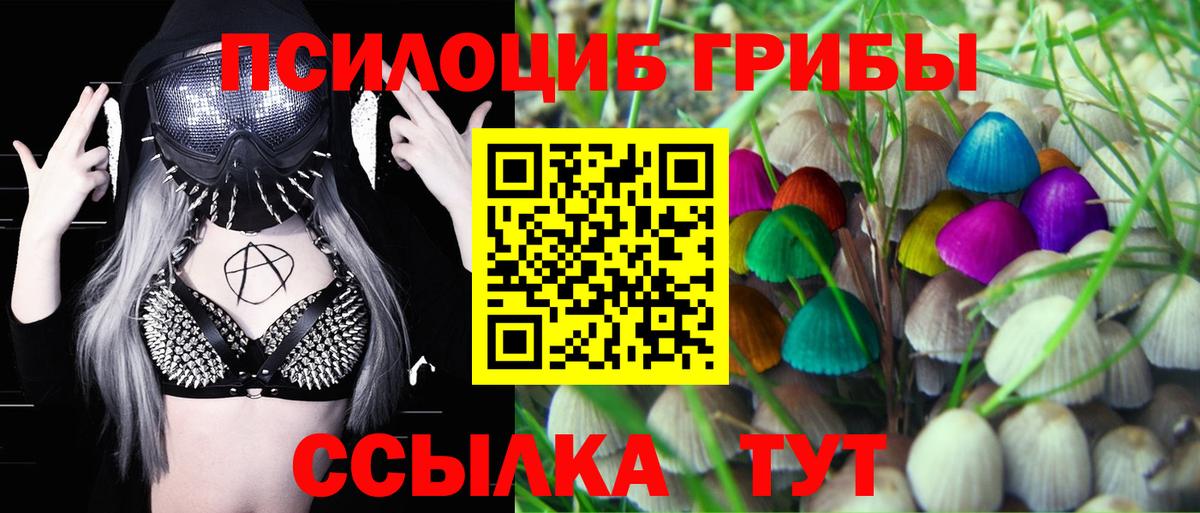 Галлюциногенные грибы Magic Shrooms Южноуральск